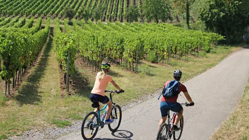 Istrien mit dem Fahrrad