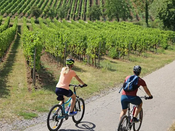 Istrien mit dem Fahrrad
